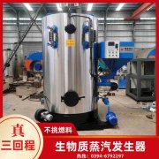 WNS8-1.25-QY液化气蒸汽锅炉半岛公司网站网页版官网