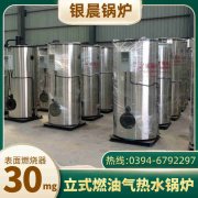 WNS15-1.25-QY天然气蒸汽锅炉半岛公司网站网页版官网