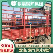 WNS12-1.25-QY冷凝蒸汽锅炉半岛公司网站网页版官网