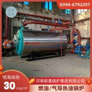 WNS20-1.25-QY燃气蒸汽锅炉半岛公司网站网页版官网