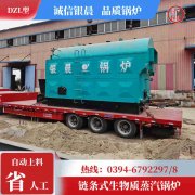 WNS20-1.25-QY冷凝蒸汽锅炉太康县银晨锅炉有限公司