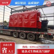 WNS20-1.25-QY三回程蒸汽锅炉半岛公司网站网页版官网