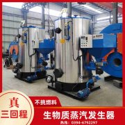 WNS6-1.25-QY天然气蒸汽锅炉半岛公司网站网页版官网