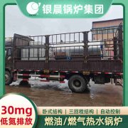 WNS0.7-1.0-QY环保蒸汽锅炉太康银晨锅炉