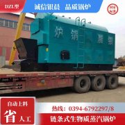 WNS0.3-0.7-QY冷凝蒸汽锅炉半岛公司网站网页版官网