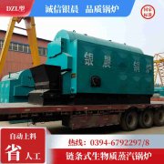 0.2吨冷凝蒸汽锅炉半岛公司网站网页版官网