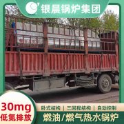 0.3吨节能蒸汽锅炉银晨锅炉售后