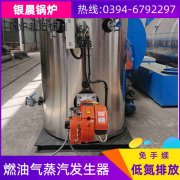 燃气蒸汽发生器和燃气锅炉