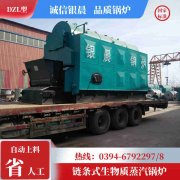 燃气锅炉的燃气锅炉