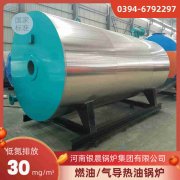 燃甲醇热水锅炉