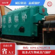 0.3吨天然气热水锅炉