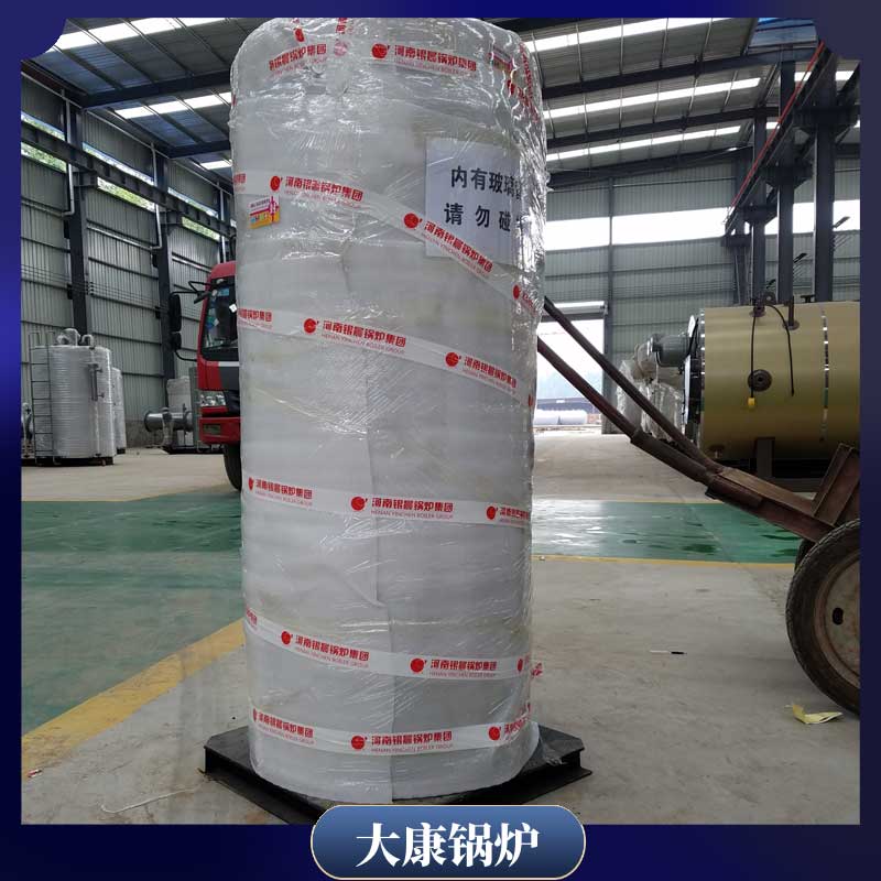 燃生物质气锅炉