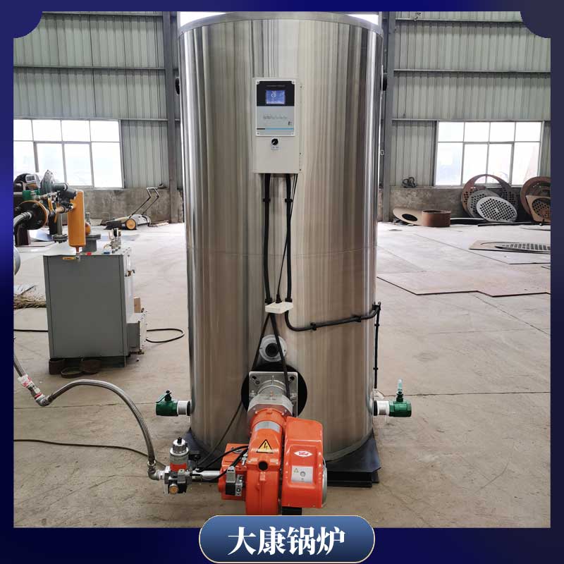 立式生物质锅炉