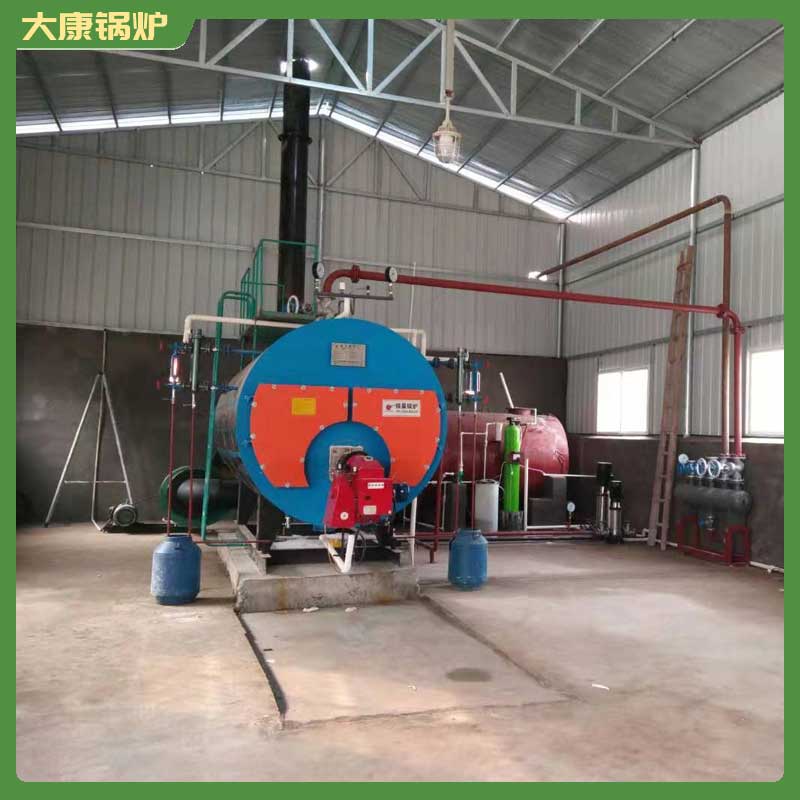 烧生物质得锅炉