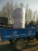 20万大卡燃气热水锅炉发货